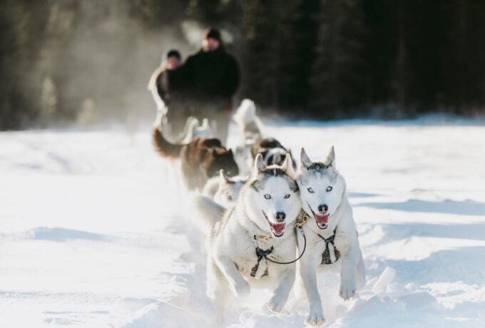 115883876_10164318958345554_6675781506428873069_n