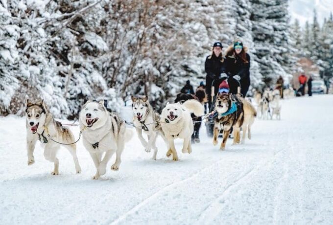 127736222_10164849186295554_5457924170323652742_n