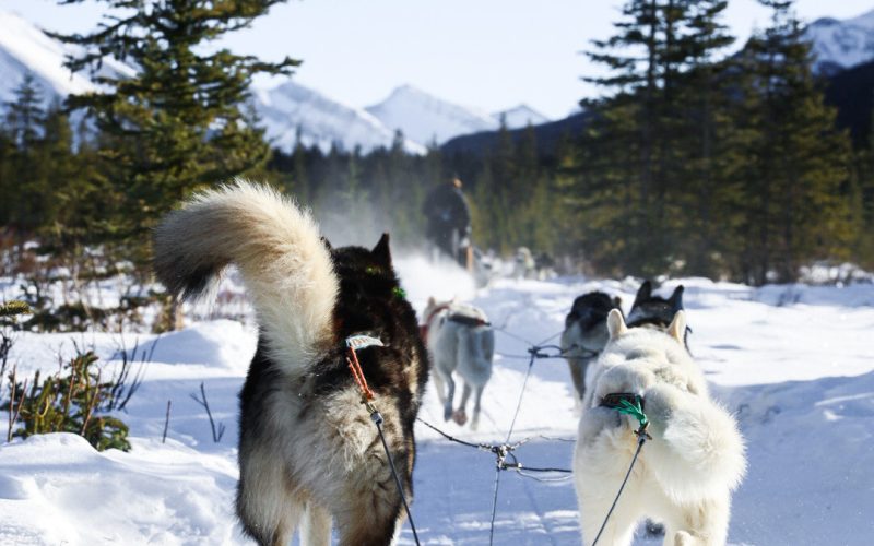 288105861_10166847487580554_5108843506957427070_n