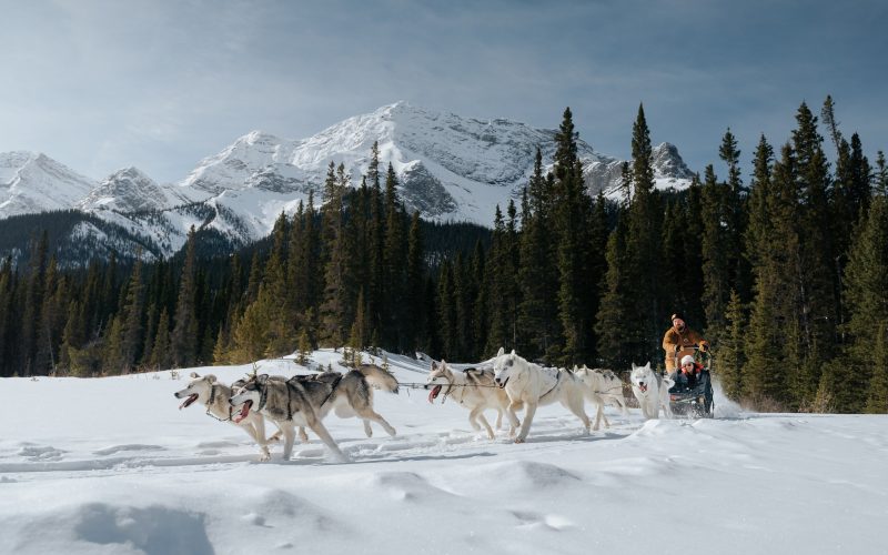 294495563_10166945073395554_3784225331570331630_n