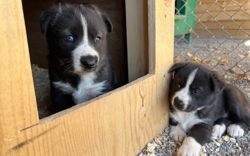 312598877_10167219771795554_2331791548214543630_n