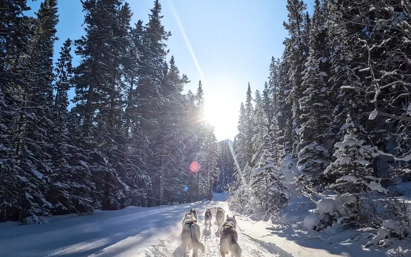 323556970_5938878136173784_5013755255870770133_n-2