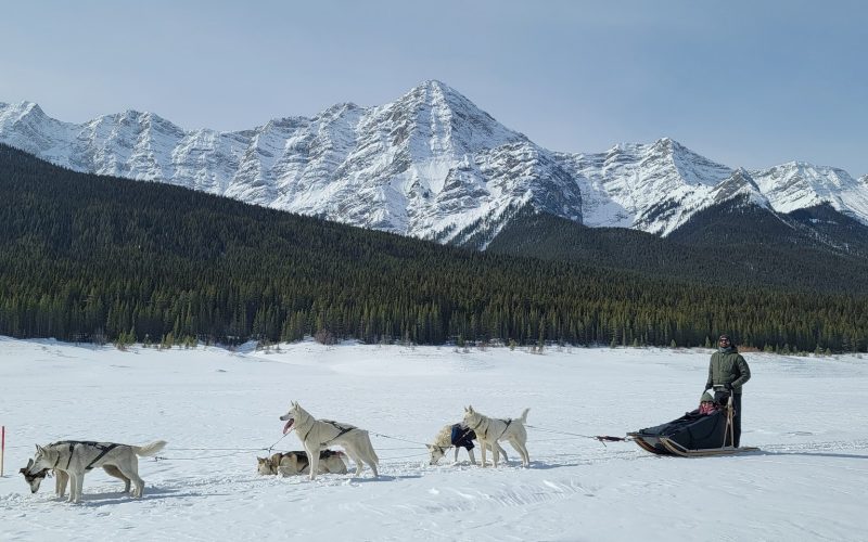 337502321_1935413416803719_7937128325319655427_n-1