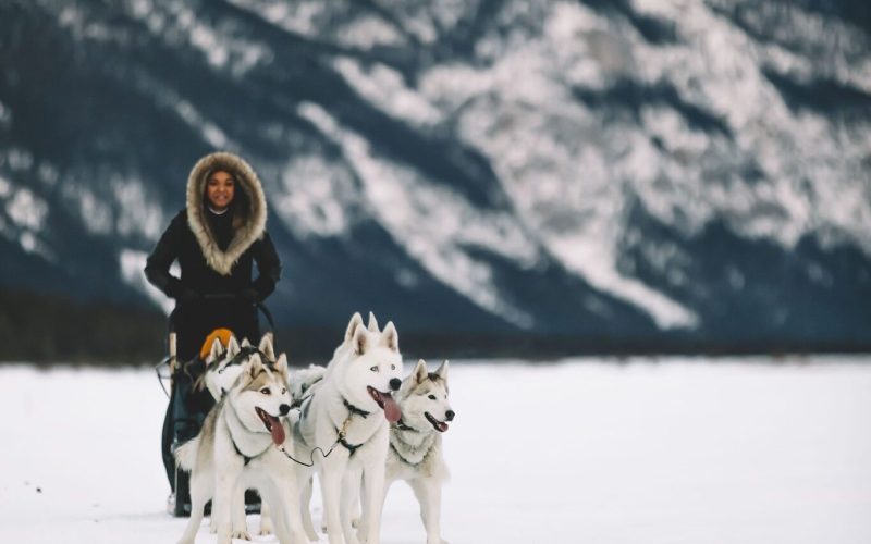 391747871_708498204647381_7222339417641318003_n