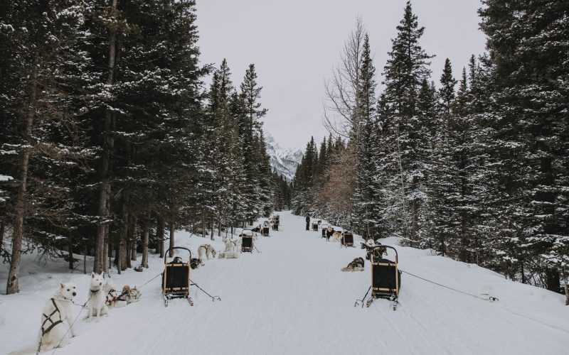 399944321_724446303052571_6081122057056384943_n