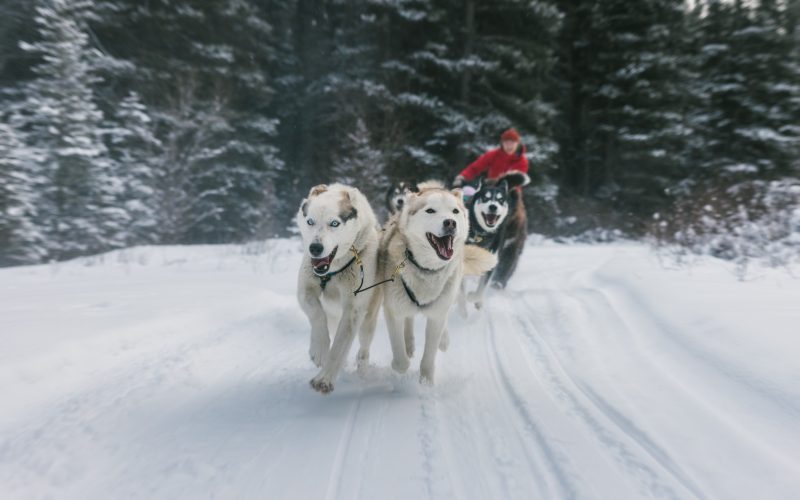 426157067_778803287616872_6466718016579278287_n-1