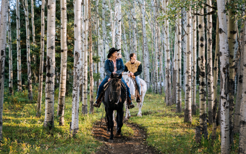 Boundary-Ranch-Kananaskis-Country-Alberta-Forest-Trail-Ride