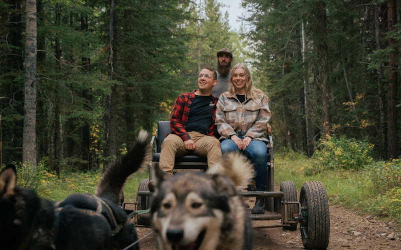 Snowy Owl Tours – Canmore, Alberta – Adventure Dog Carting at Boundary Ranch