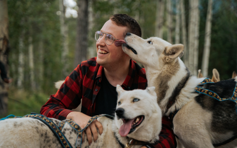 Snowy Owl Tours – Husky Hero Love